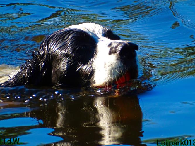 Leijpark013 Beestenboel 6 juli 2023 