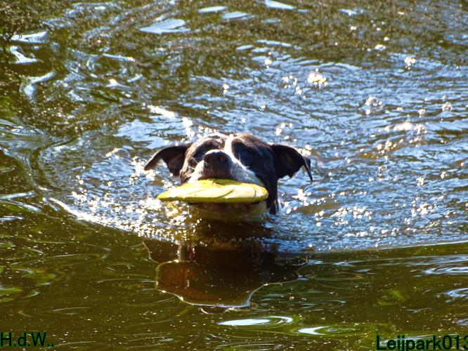 Leijpark013 Beestenboel 6 juli 2023 