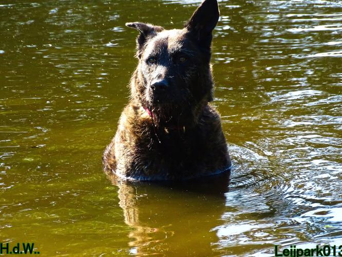 Leijpark013 Beestenboel 6 juli 2023 