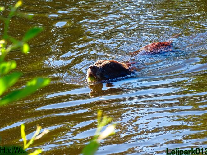 Leijpark013 Beestenboel 6 juli 2023 