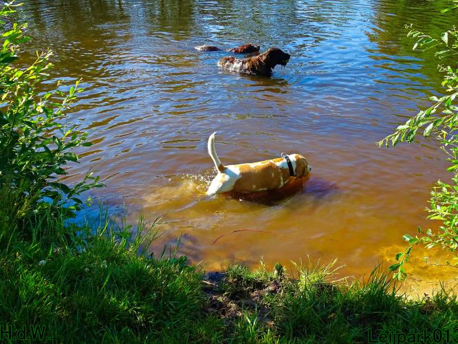 Leijpark013 Beestenboel 6 juli 2023 
