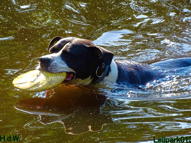 Leijpark013 Beestenboel 6 juli 2023 