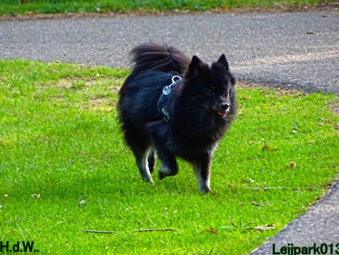 Leijpark013 Beestenboel 6 juli 2023 