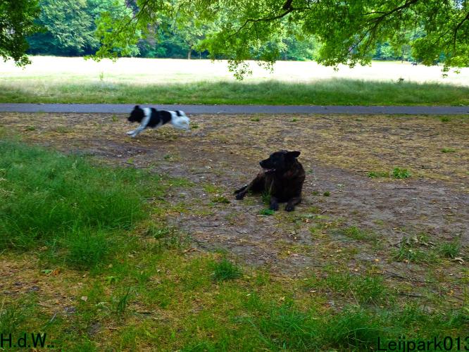 Leijpark013 Beestenboel 6 juli 2023 