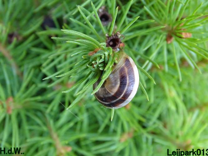 Leijpark013 8 &amp; 9 &amp; 10 &amp; 11 juli 2023 