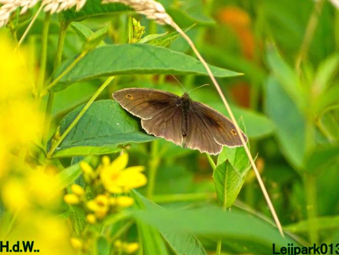 Leijpark013 8 &amp; 9 &amp; 10 &amp; 11 juli 2023 