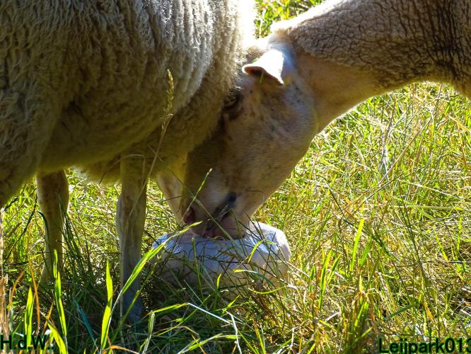 Leijpark013 8 &amp; 9 &amp; 10 &amp; 11 juli 2023 