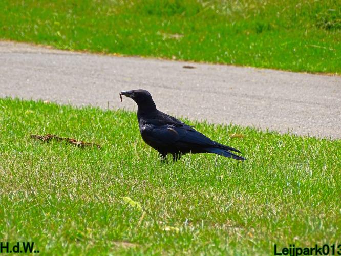 Leijpark013 8 &amp; 9 &amp; 10 &amp; 11 juli 2023 