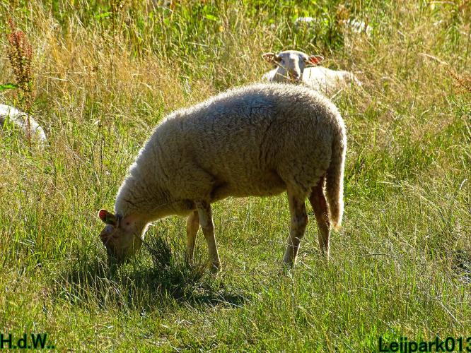 Leijpark013 8 &amp; 9 &amp; 10 &amp; 11 juli 2023 