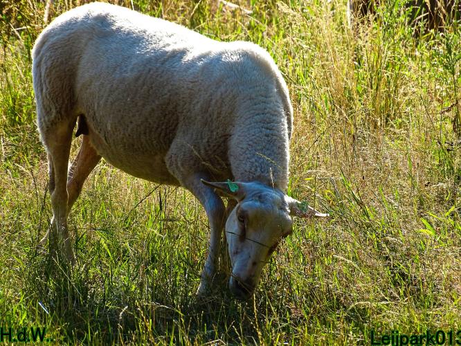 Leijpark013 8 &amp; 9 &amp; 10 &amp; 11 juli 2023 