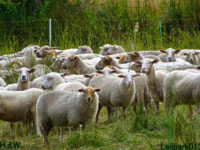 Leijpark013  12 &amp; 13 &amp; 14 &amp; 15 juli 2023 