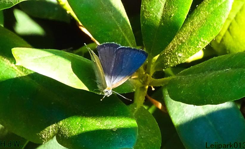 Leijpark013  12 &amp; 13 &amp; 14 &amp; 15 juli 2023 