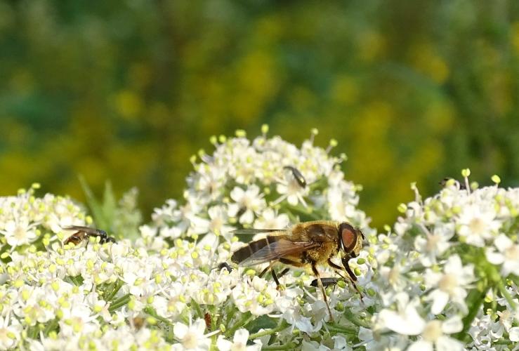 Leijpark013  12 &amp; 13 &amp; 14 &amp; 15 juli 2023 