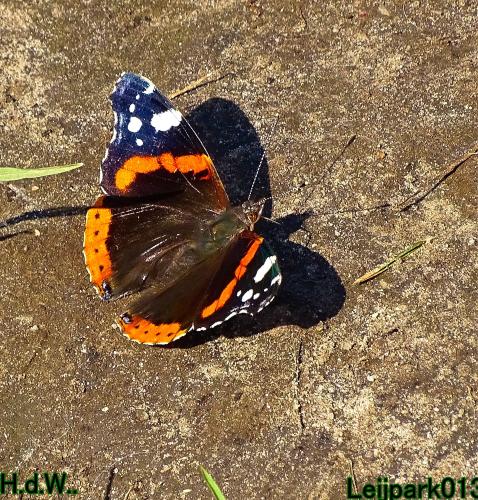 Leijpark013  12 &amp; 13 &amp; 14 &amp; 15 juli 2023 