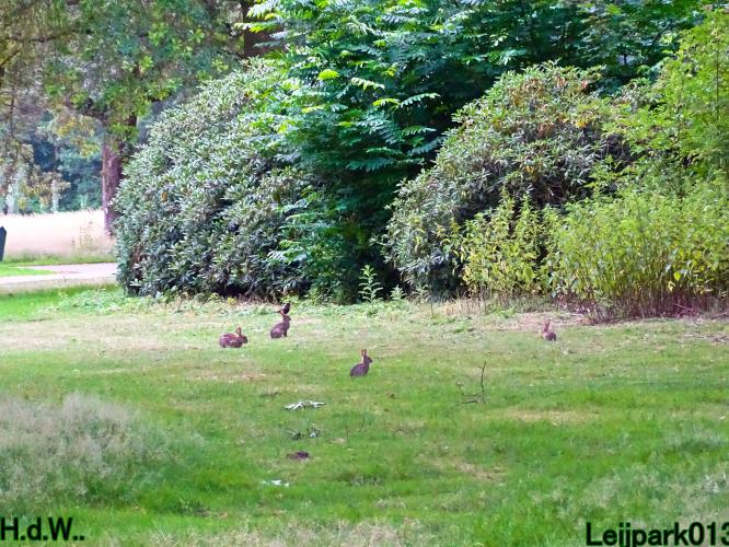 Leijpark013  12 &amp; 13 &amp; 14 &amp; 15 juli 2023 