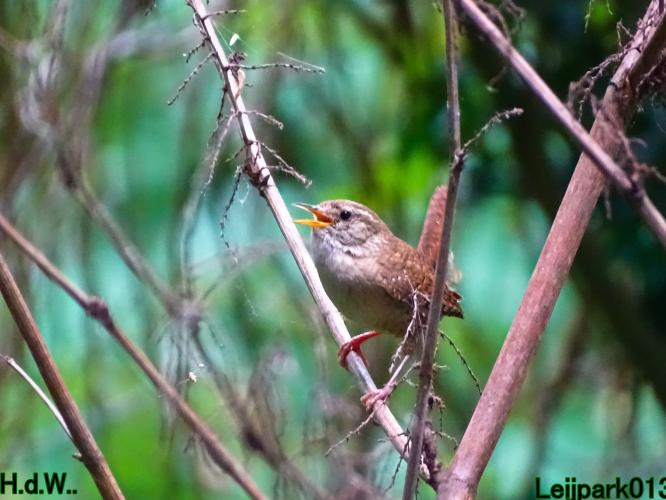 Leijpark013  12 &amp; 13 &amp; 14 &amp; 15 juli 2023 