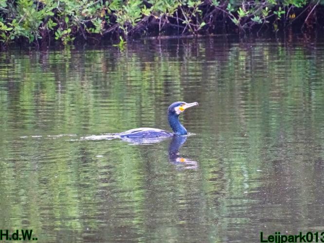 Leijpark013  12 &amp; 13 &amp; 14 &amp; 15 juli 2023 