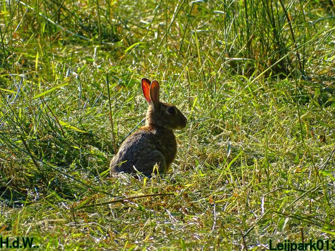 Leijpark013  12 &amp; 13 &amp; 14 &amp; 15 juli 2023 