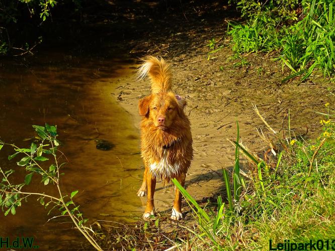 Leijpark013 Beestenboel 19 juli 2023 
