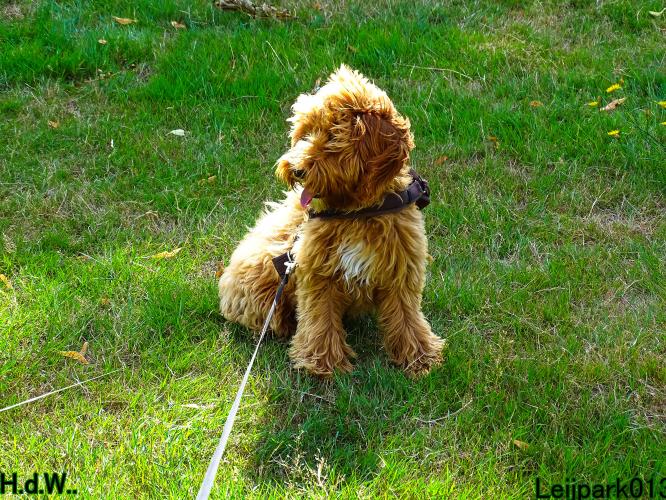 Leijpark013 Beestenboel 19 juli 2023 