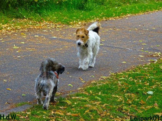 Leijpark013 Beestenboel 19 juli 2023 