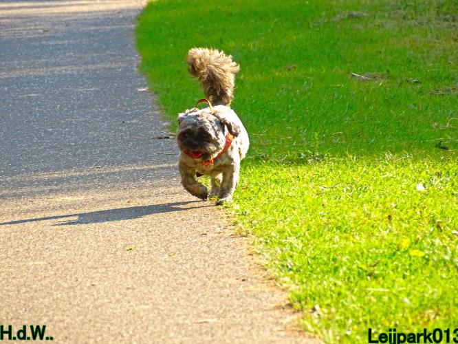 Leijpark013 Beestenboel 19 juli 2023 