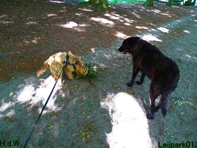 Leijpark013 Beestenboel 19 juli 2023 