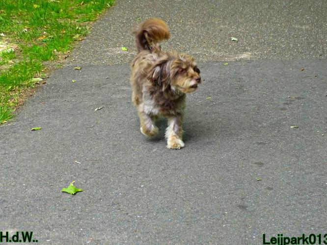 Leijpark013 Beestenboel 19 juli 2023 