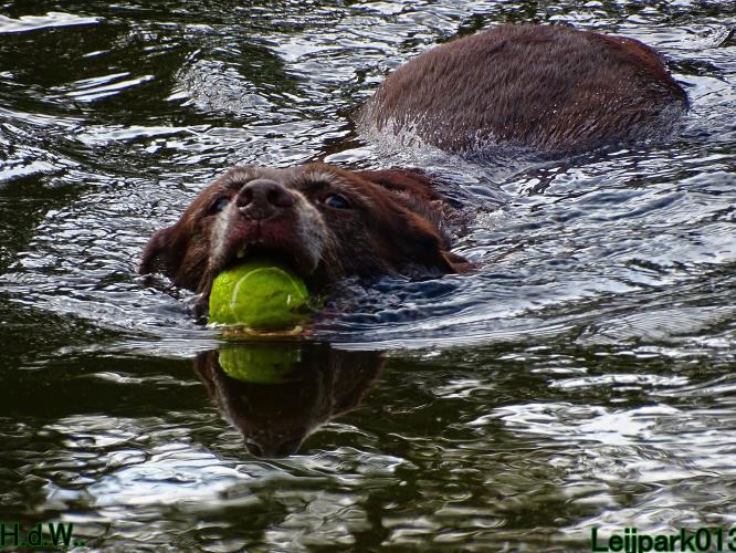 Leijpark013 Beestenboel 19 juli 2023 