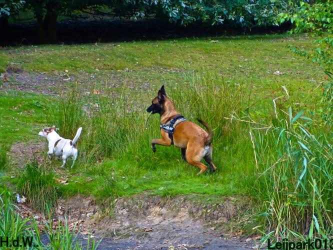 Leijpark013 Beestenboel 19 juli 2023 