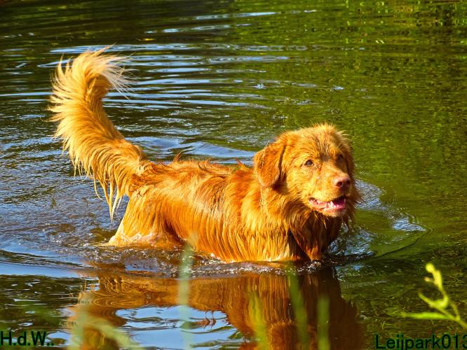 Leijpark013 Beestenboel 19 juli 2023 