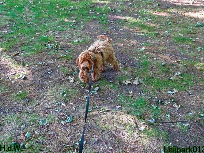 Leijpark013 Beestenboel 19 juli 2023 
