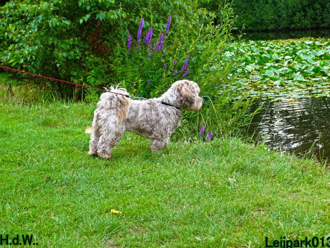 Leijpark013 Beestenboel 19 juli 2023 