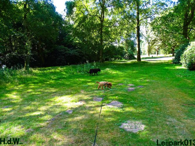 Leijpark013 Beestenboel 19 juli 2023 