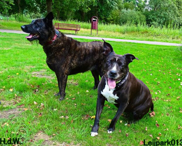 27 juli 2023 Beestenboel 