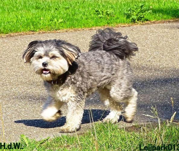 27 juli 2023 Beestenboel 