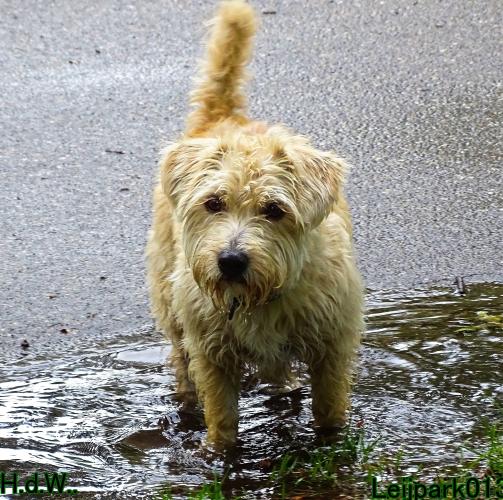 27 juli 2023 Beestenboel 