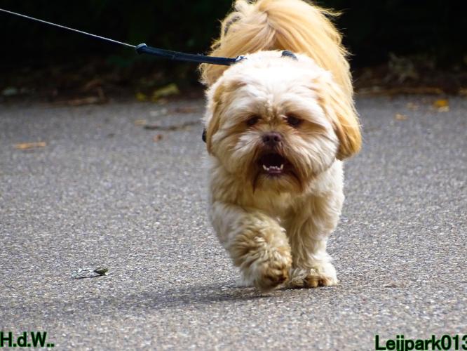 27 juli 2023 Beestenboel 