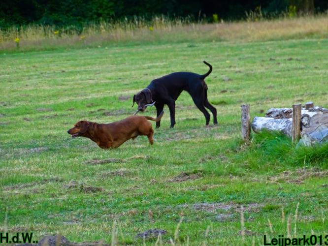 27 juli 2023 Beestenboel 