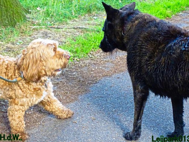 27 juli 2023 Beestenboel 