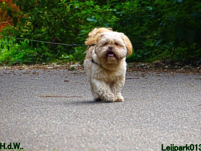 27 juli 2023 Beestenboel 