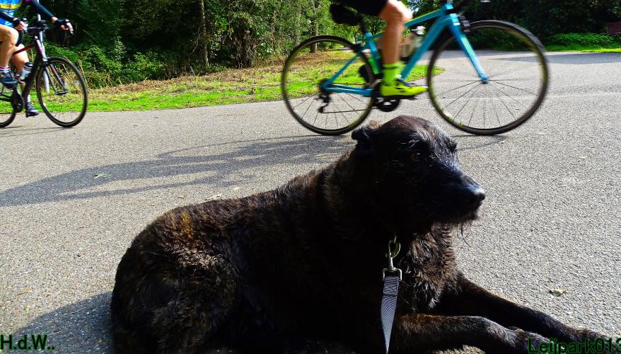 27 juli 2023 Beestenboel 