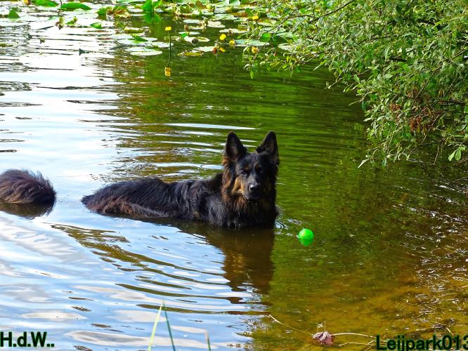 27 juli 2023 Beestenboel 