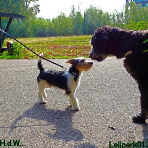 27 juli 2023 Beestenboel 