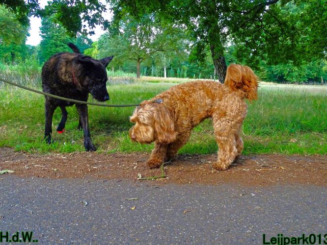 27 juli 2023 Beestenboel 
