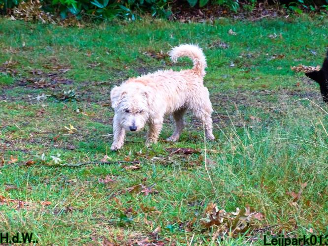 27 juli 2023 Beestenboel 