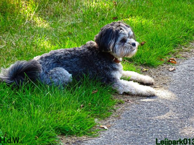 27 juli 2023 Beestenboel 