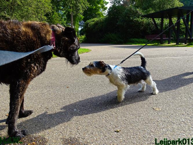 27 juli 2023 Beestenboel 