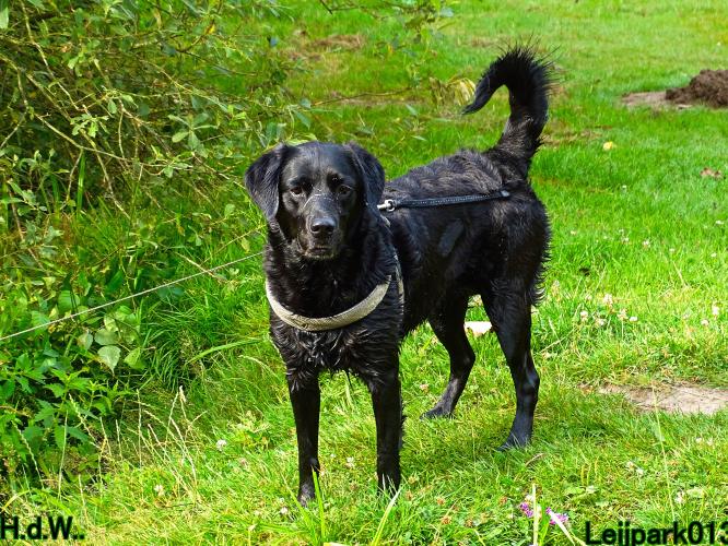 27 juli 2023 Beestenboel 