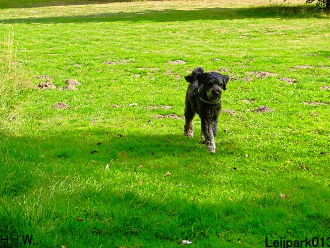 27 juli 2023 Beestenboel 